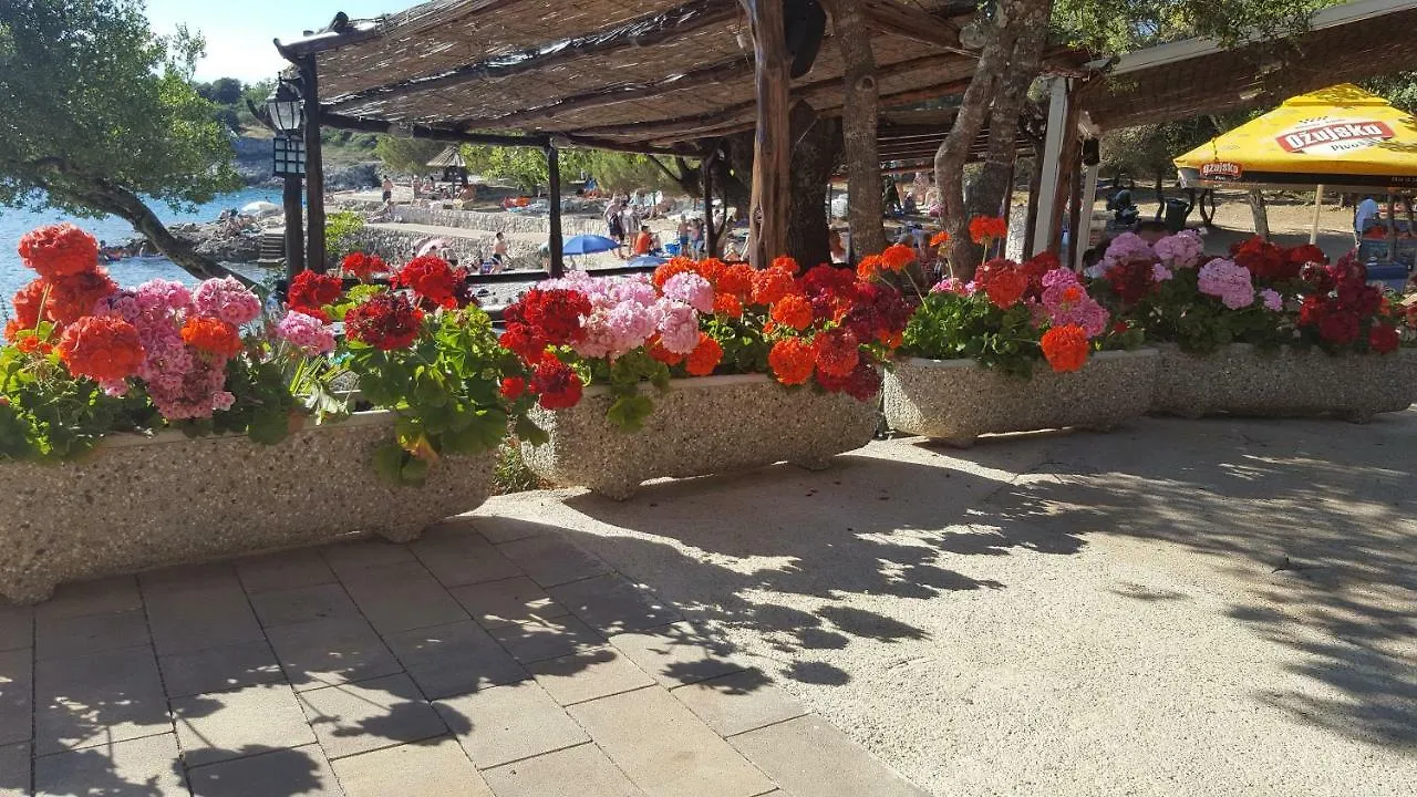 Apartment Beno Pinezici  Pinezici (Krk)